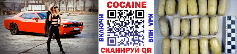 купить наркоту  Завитинск  Cocaine Fish Scale 