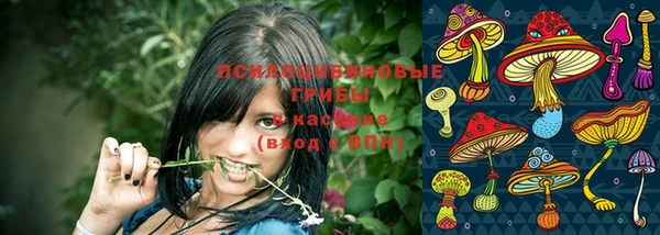 тгк Беломорск