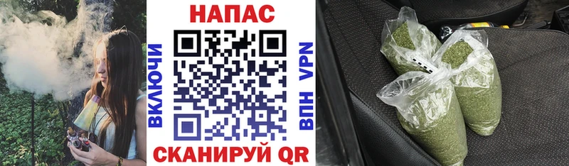 Каннабис план ОМГ ОМГ ТОР Завитинск